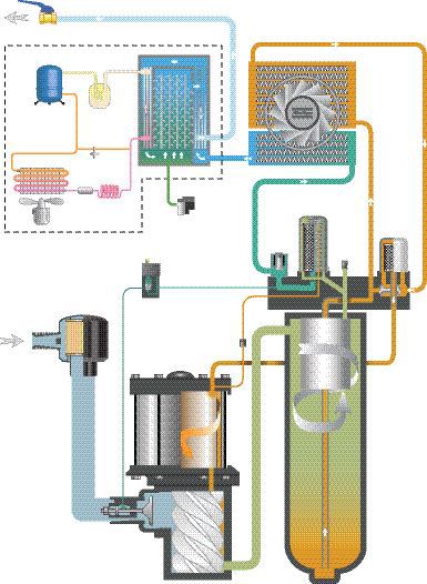 VSD+Schema